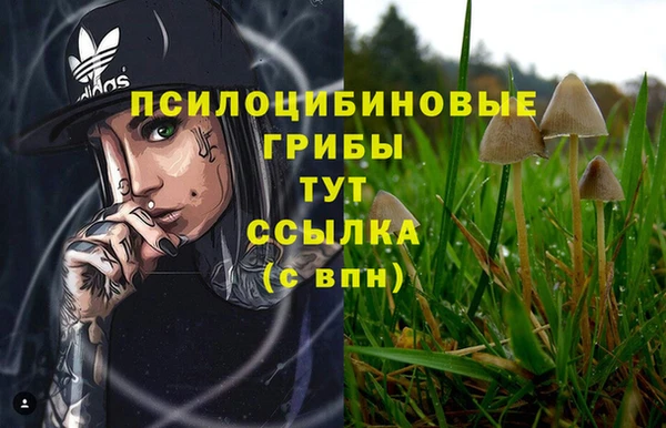 MDMA Premium VHQ Верхний Тагил