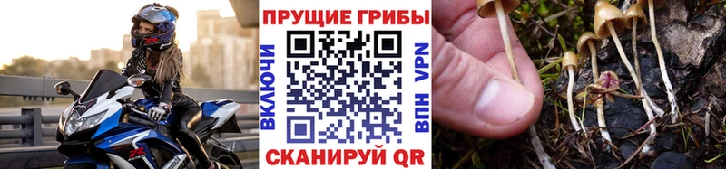 Галлюциногенные грибы ЛСД  Омск 